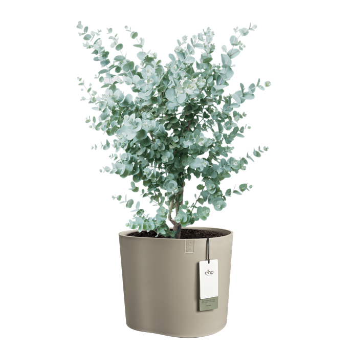 eden 35cm sanftes Taupe